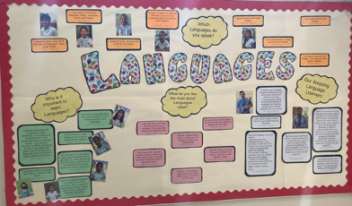 Primary Weekly Highlights: Our Multilingual Learners