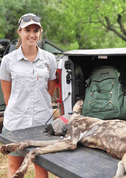 Alumni stories: Meet The Wildlife Ranger